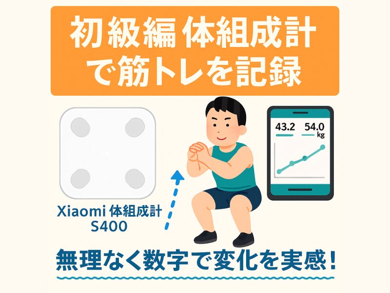 トレーニング初級編｜効果を数字で実感！体組成計でモチベーションを維持しよう