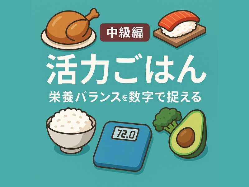活力ご飯_栄養バランスを数字で捉える