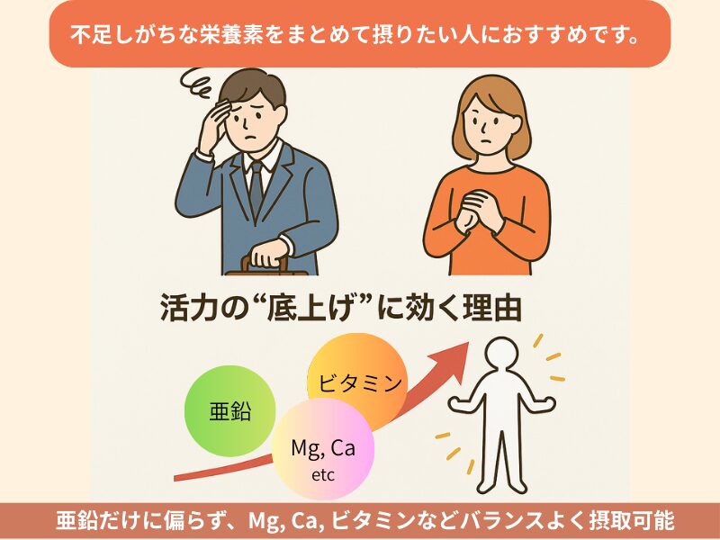 不足しがちな栄養素をまとめて摂りたい人、亜鉛だけに偏らない効率的な摂取